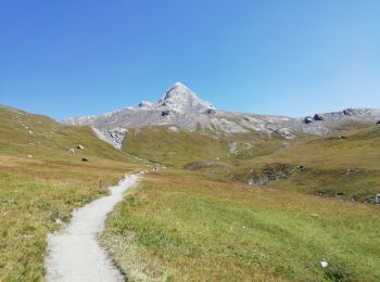 Percorso Marcia Molines-en-Queyras - 05-Pain-de-sucre-6.5km-525m-aout21 - Photo