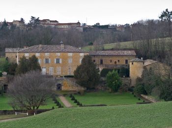 Excursión A pie Lyon - Promenade de Rochecardon - Photo