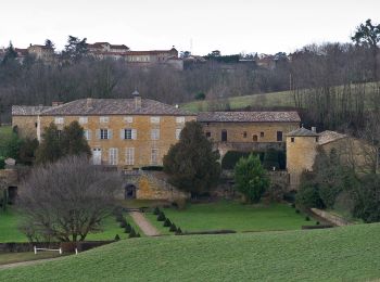 Percorso A piedi Lione - Promenade de Rochecardon - Photo