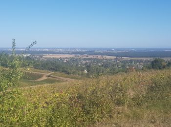 Percorso Marcia Givry - Russilly La Chaume - Photo