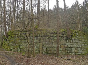 Excursión A pie Hohnstein - Rund um Ulbersdorf - Photo