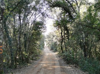 Excursión Marcha nórdica Lagorce - Gour de la Somp reconnaissance pertus de fabria - Photo