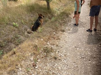 Tour Wandern Saint-Cannat - Saint Cannat 07/08/2021 - Photo