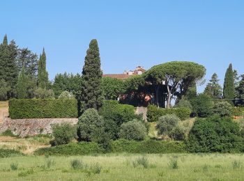 Percorso Marcia Sarzana - CR_Francigena_CH_31_Sarzana_Carrare-Avenza_20220614 - Photo