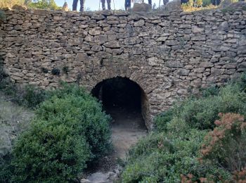 Trail Walking Le Castellet - barres de castillon - Photo