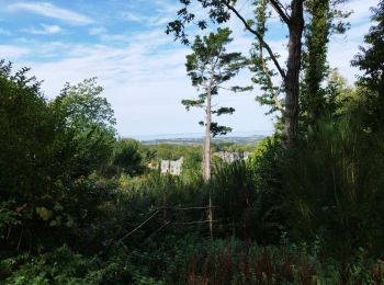 Excursión Senderismo Locronan - La randonnée de Locronan par mes chemins creux  - Photo