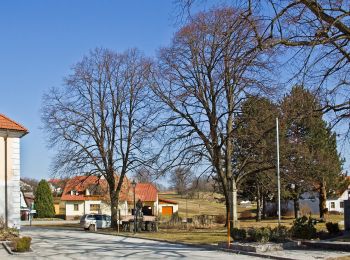 Randonnée A pied Gemeinde Großschönau - Frauhausweg - Photo