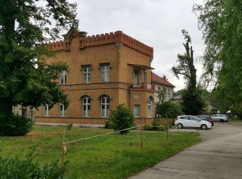 Percorso A piedi Königs Wusterhausen - Stadtwanderung Königs Wusterhausen - Photo