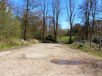 Tour Zu Fuß  - Threave Estate Walk - Photo