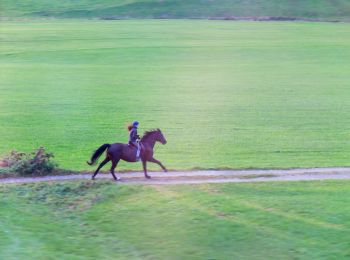 Randonnée Randonnée équestre Gesves - Gesves - Circuit B - Cavalier - Balisé - Photo