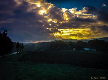 Randonnée A pied Plettenberg - Plettenberger Rundweg - Photo