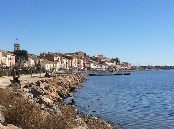 Randonnée Marche Bouzigues - Terre et mer à Bouzigues - Photo