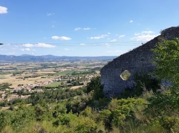 Randonnée Marche Marsanne - Marsanne . Les extrêmes 23km - Photo