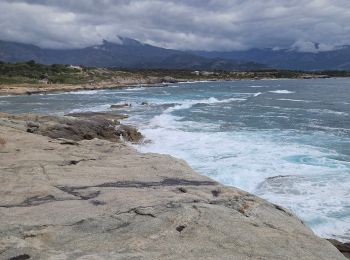 Randonnée Marche Lumio - baie algajo - Photo