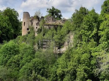 Trail Walking Oberlarg - oberlag- château de morimont  - Photo