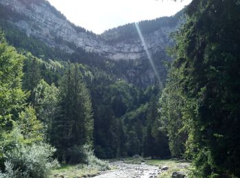 Excursión Senderismo Saint-Pierre-d'Entremont - Cirque de Même  - Photo