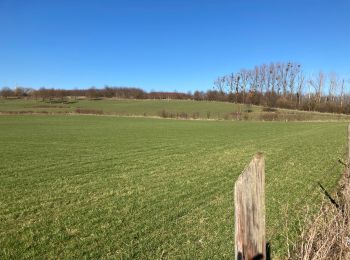 Tocht Stappen Borgloon - Broekhem - Photo