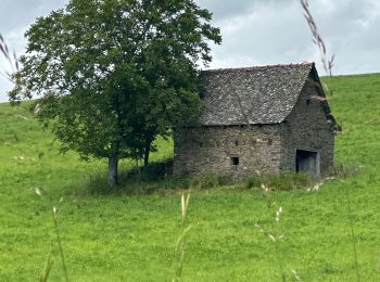 Tour sport Golinhac - Saint-Jacques, 2024, deux étape cinq - Photo