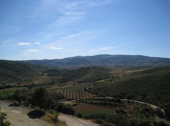 Tour Zu Fuß Chacim - Rota de Balsamão - Photo