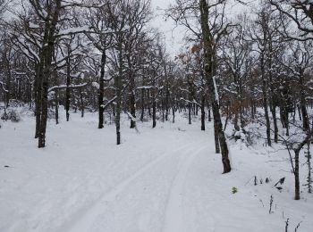 Tocht Langlaufen Escragnolles - panoramique enneigé - Photo