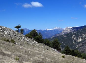 Tour Wandern Sigoyer - Tour de la petite céüze - Photo