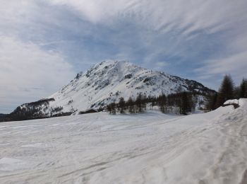 Excursión A pie Monno - Monno (Mortirolo) - Monte Pagano - Photo