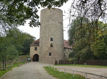 Percorso A piedi Rabenstein/Fläming - Naturparkrundwanderweg 42 - Photo