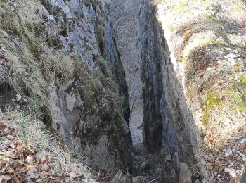 Excursión Senderismo Foncine-le-Haut - Foncine le haut - Photo