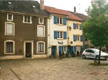 Randonnée A pied Puttelange-lès-Thionville - CV Les chemins de l'insolite (Rodemack-Puttelange) - Photo