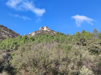 Excursión Senderismo Félines-Minervois - félines Minervois - Photo