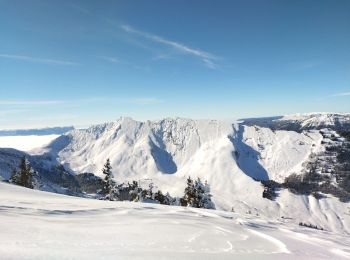 Trail Touring skiing École - pointe des Arlicots - Photo