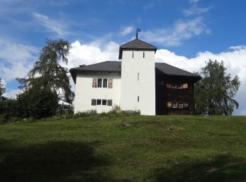 Excursión A pie Nendaz - Mayens-de-Sion ouest - Planchouet - Photo