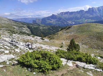 Excursión Senderismo Le Dévoluy - Tête de Plate Longue - Photo