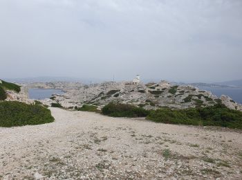 Randonnée Marche Marseille - Frioul Pomègues - Photo