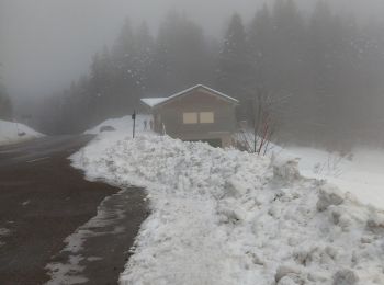 Tour Schneeschuhwandern Bouvante - 26 serre plume - Photo