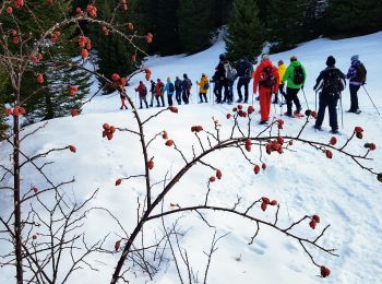 Tocht Stappen Prémanon - C Jura - journée du vendredi 24/01/2020 - Frasse/Boulu - Photo