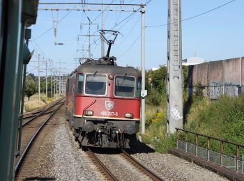 Randonnée A pied Urtenen-Schönbühl - CH-fixme - fixme - Photo