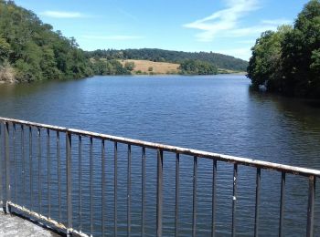 Excursión Senderismo Saint-Martin-du-Puy - Montcrecon -lac de Crescent - Chalaux - 7/2020 - Photo