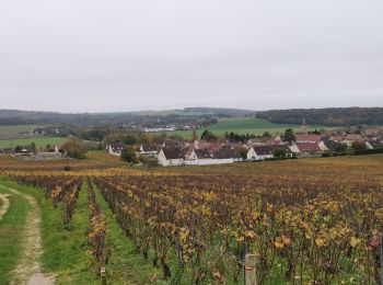 Excursión Senderismo Nogent-l'Artaud - RP51-06 Château-Thierry à Nogent-l'Artaud - Photo