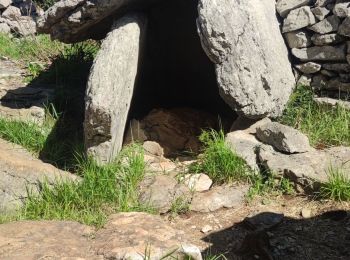 Excursión Senderismo Labeaume - Boucle autour de Labeaume et retour par les gorges - 14 avril 24 - Photo