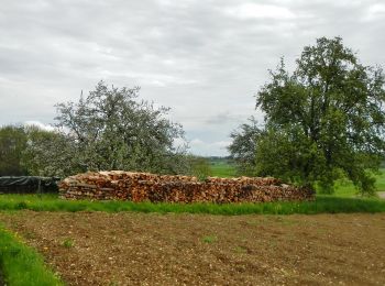 Tocht Te voet Owen - Dettingen u. T. ,Owen, Beuren - Photo