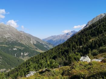 Excursión Marcha nórdica Evolène - cabane du Tsa - Photo