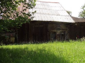 Randonnée A pied Dlouhý Most - [Z] Rašovské sedlo;Kohoutivice - Photo