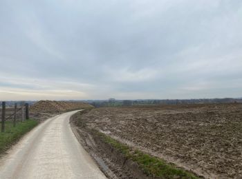 Tour Wandern Zwalm - Sint-blasius Boeckel 18,6 km - Photo