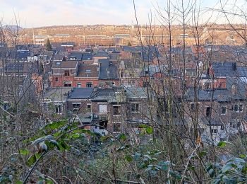 Tocht Stappen Luik - angleur . bois saint Jacques / bois Saint Laurent. angleur - courte - Photo