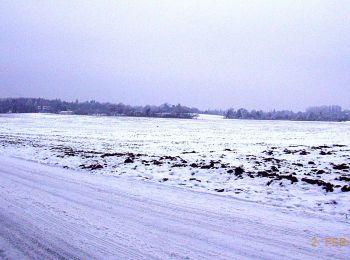 Randonnée A pied Inconnu - Rundwanderweg Darmstadt 5: Oberfeld-Weg - Photo