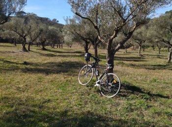 Excursión Bici de carretera Cabasse - Vélo:  Cabas, le Luc, le Cannet-des-Maures, Le Thoronet et Carcès - Photo