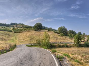 Tour Zu Fuß Scandiano - Ventoso - Monte De' Gesso - Pianderna - Monte Evangelo - San Ruffino - Ventoso - Photo