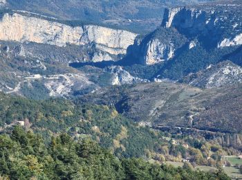 Tocht Stappen La Palud-sur-Verdon - 