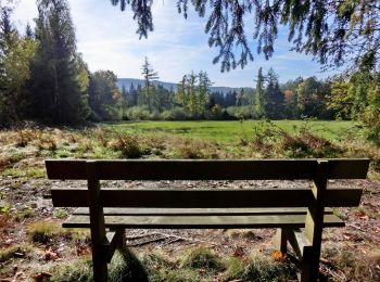 Percorso A piedi Bischofsgrün - Wülfersreuth Panoramaweg - Photo